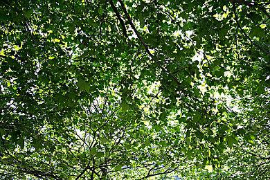 GunHo财报透露 《死亡之旅：让他去死》正在重新开发中